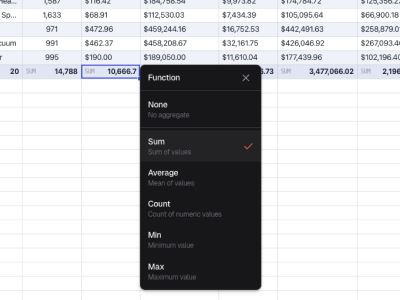 Total row function dropdown